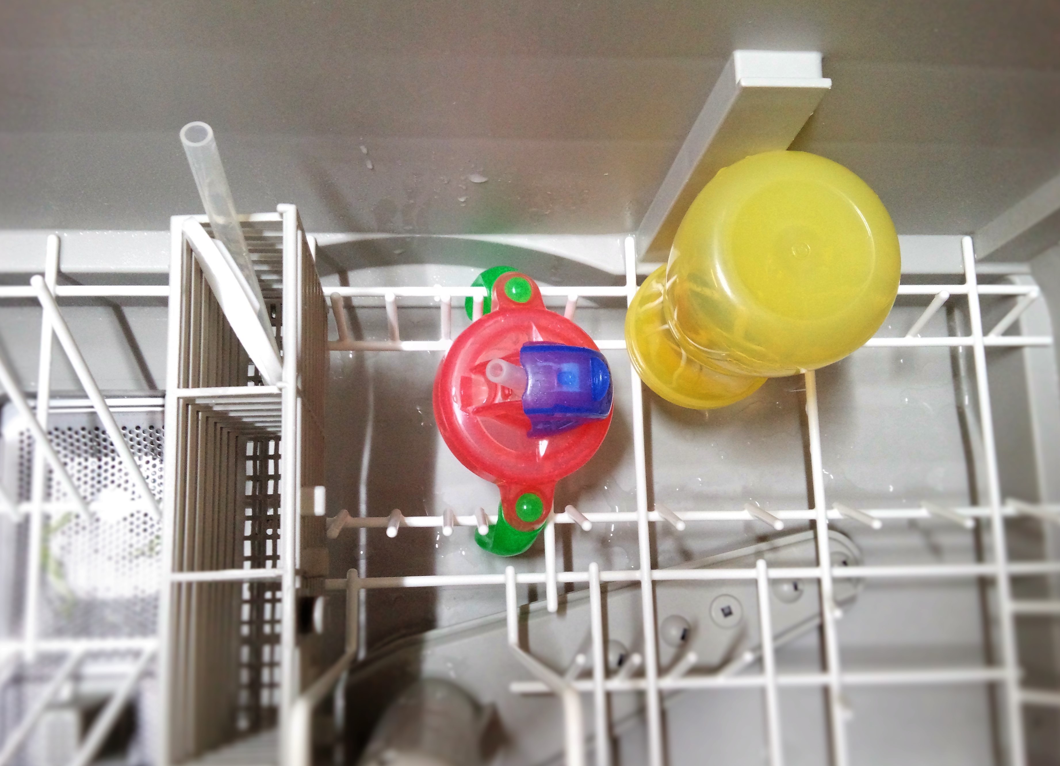食洗機対応の赤ちゃんマグ、ピジョンの「ぷちストローボトル」を生後5ヶ月から使ってみた ころりんすまい