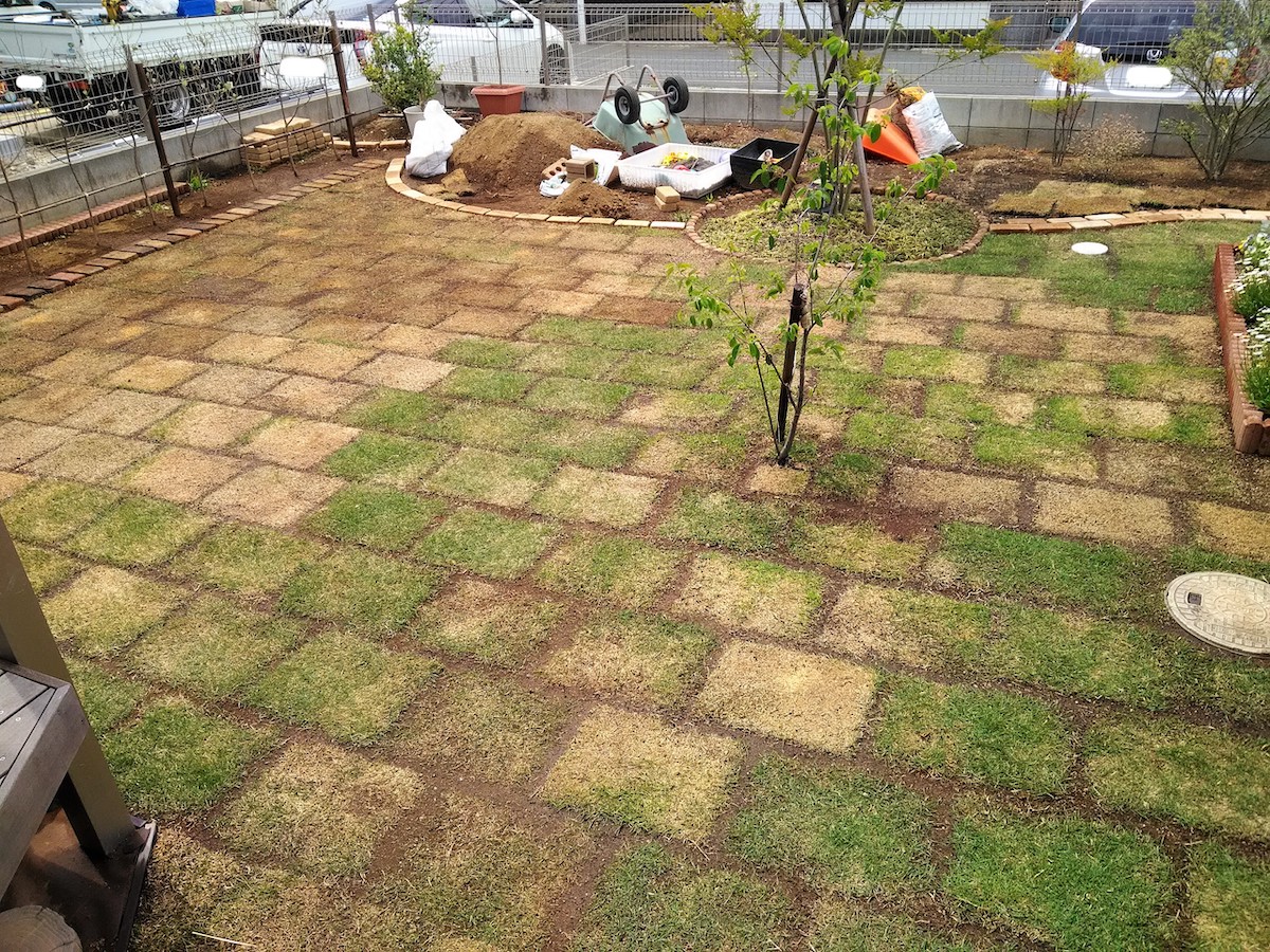 ホームセンターの茶色い芝生は復活する 毎日水やりしたら根が腐った話 ころりんすまい